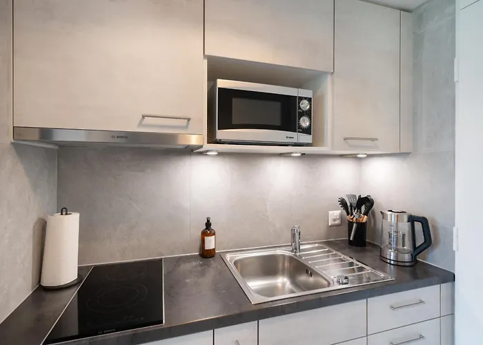 Hid Ag: Lakeview Mit Parkplatz Und Balkon * Därligen